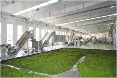 愈艰难，愈向前——农发行湖北分行战疫战贫两不误